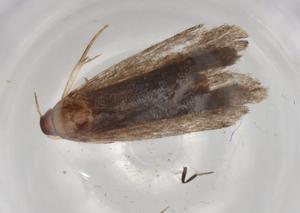  ( - BIOUG83614-E08)  @11 [ ] CreativeCommons - Attribution (2022) Centre for Biodiversity Genomics Centre for Biodiversity Genomics