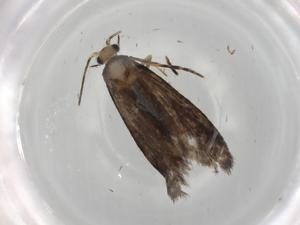  ( - BIOUG84434-E01)  @11 [ ] CreativeCommons - Attribution (2022) Centre for Biodiversity Genomics Centre for Biodiversity Genomics