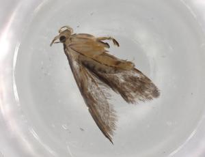  ( - BIOUG84434-E10)  @11 [ ] CreativeCommons - Attribution (2022) Centre for Biodiversity Genomics Centre for Biodiversity Genomics