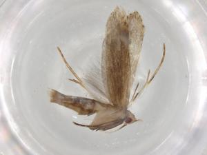  ( - BIOUG84434-E11)  @11 [ ] CreativeCommons - Attribution (2022) Centre for Biodiversity Genomics Centre for Biodiversity Genomics