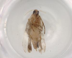  ( - BIOUG84780-D12)  @11 [ ] CreativeCommons - Attribution (2022) Centre for Biodiversity Genomics Centre for Biodiversity Genomics