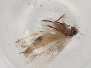  ( - BIOUG84780-E02)  @11 [ ] CreativeCommons - Attribution (2022) Centre for Biodiversity Genomics Centre for Biodiversity Genomics