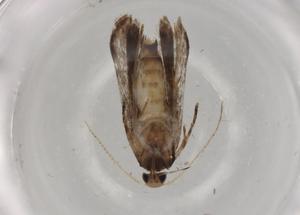  ( - BIOUG85057-E05)  @11 [ ] CreativeCommons - Attribution (2022) Centre for Biodiversity Genomics Centre for Biodiversity Genomics