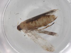  ( - BIOUG77360-H04)  @11 [ ] CreativeCommons - Attribution (2022) Centre for Biodiversity Genomics Centre for Biodiversity Genomics