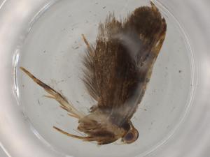  ( - BIOUG77922-A03)  @11 [ ] CreativeCommons - Attribution (2022) Centre for Biodiversity Genomics Centre for Biodiversity Genomics