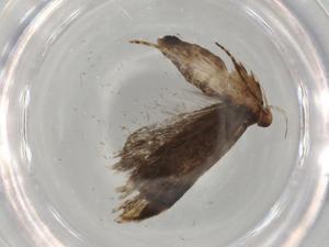  ( - BIOUG77922-F04)  @11 [ ] CreativeCommons - Attribution (2022) Centre for Biodiversity Genomics Centre for Biodiversity Genomics