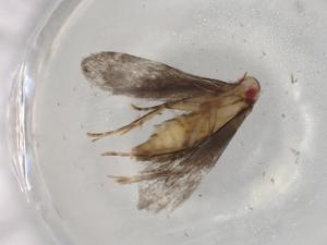  ( - BIOUG77950-C03)  @11 [ ] CreativeCommons - Attribution (2022) Centre for Biodiversity Genomics Centre for Biodiversity Genomics