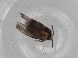  ( - BIOUG78024-E05)  @11 [ ] CreativeCommons - Attribution (2022) Centre for Biodiversity Genomics Centre for Biodiversity Genomics