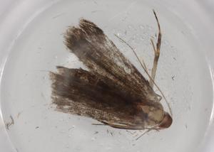  ( - BIOUG87922-C03)  @11 [ ] CreativeCommons - Attribution (2022) Centre for Biodiversity Genomics Centre for Biodiversity Genomics