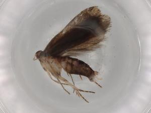  ( - BIOUG88541-D05)  @11 [ ] CreativeCommons - Attribution (2022) Centre for Biodiversity Genomics Centre for Biodiversity Genomics