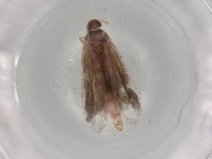  ( - BIOUG88541-E05)  @11 [ ] CreativeCommons - Attribution (2022) Centre for Biodiversity Genomics Centre for Biodiversity Genomics