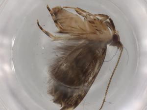  ( - BIOUG88541-E09)  @11 [ ] CreativeCommons - Attribution (2022) Centre for Biodiversity Genomics Centre for Biodiversity Genomics