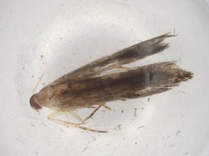  ( - BIOUG88848-B07)  @11 [ ] CreativeCommons - Attribution (2022) Centre for Biodiversity Genomics Centre for Biodiversity Genomics