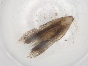  ( - BIOUG88848-B10)  @11 [ ] CreativeCommons - Attribution (2022) Centre for Biodiversity Genomics Centre for Biodiversity Genomics