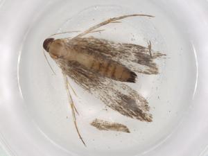  ( - BIOUG88848-C11)  @11 [ ] CreativeCommons - Attribution (2022) Centre for Biodiversity Genomics Centre for Biodiversity Genomics