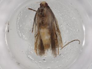  ( - BIOUG88879-B08)  @11 [ ] CreativeCommons - Attribution (2022) Centre for Biodiversity Genomics Centre for Biodiversity Genomics