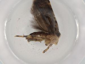  ( - BIOUG89353-B10)  @11 [ ] CreativeCommons - Attribution (2022) Centre for Biodiversity Genomics Centre for Biodiversity Genomics