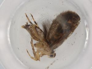  ( - BIOUG89353-C02)  @11 [ ] CreativeCommons - Attribution (2022) Centre for Biodiversity Genomics Centre for Biodiversity Genomics