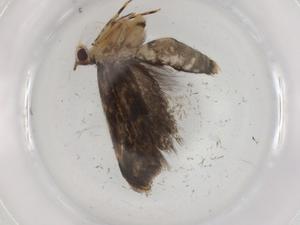  ( - BIOUG89380-D09)  @11 [ ] CreativeCommons - Attribution (2022) Centre for Biodiversity Genomics Centre for Biodiversity Genomics