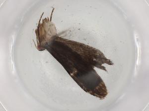  ( - BIOUG89380-E04)  @11 [ ] CreativeCommons - Attribution (2022) Centre for Biodiversity Genomics Centre for Biodiversity Genomics