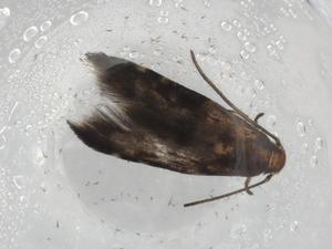  ( - BIOUG89450-G02)  @11 [ ] CreativeCommons - Attribution (2022) Centre for Biodiversity Genomics Centre for Biodiversity Genomics