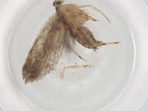  ( - BIOUG89524-D08)  @11 [ ] CreativeCommons - Attribution (2022) Centre for Biodiversity Genomics Centre for Biodiversity Genomics