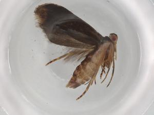  ( - BIOUG89524-G10)  @11 [ ] CreativeCommons - Attribution (2022) Centre for Biodiversity Genomics Centre for Biodiversity Genomics