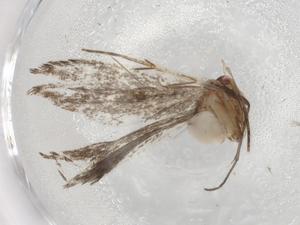  ( - BIOUG89758-G02)  @11 [ ] CreativeCommons - Attribution (2022) Centre for Biodiversity Genomics Centre for Biodiversity Genomics