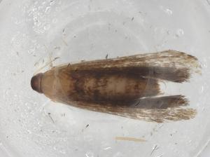  ( - BIOUG89758-G12)  @11 [ ] CreativeCommons - Attribution (2022) Centre for Biodiversity Genomics Centre for Biodiversity Genomics