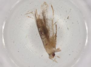  ( - BIOUG89760-C02)  @11 [ ] CreativeCommons - Attribution (2022) Centre for Biodiversity Genomics Centre for Biodiversity Genomics