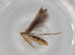  ( - BIOUG78694-C06)  @11 [ ] CreativeCommons - Attribution (2022) Centre for Biodiversity Genomics Centre for Biodiversity Genomics