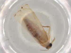  ( - BIOUG78905-C04)  @11 [ ] CreativeCommons - Attribution (2022) Centre for Biodiversity Genomics Centre for Biodiversity Genomics