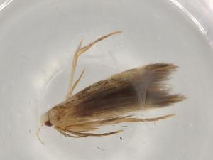  ( - BIOUG78905-C09)  @11 [ ] CreativeCommons - Attribution (2022) Centre for Biodiversity Genomics Centre for Biodiversity Genomics