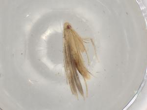  ( - BIOUG78905-D06)  @11 [ ] CreativeCommons - Attribution (2022) Centre for Biodiversity Genomics Centre for Biodiversity Genomics