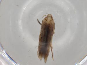  ( - BIOUG78906-E08)  @11 [ ] CreativeCommons - Attribution (2022) Centre for Biodiversity Genomics Centre for Biodiversity Genomics