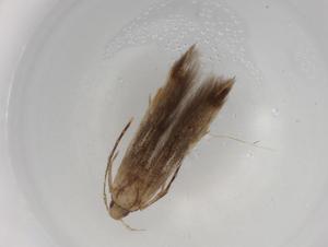  ( - BIOUG78979-A12)  @11 [ ] CreativeCommons - Attribution (2022) Centre for Biodiversity Genomics Centre for Biodiversity Genomics