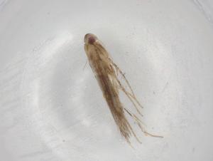  ( - BIOUG78979-C03)  @11 [ ] CreativeCommons - Attribution (2022) Centre for Biodiversity Genomics Centre for Biodiversity Genomics