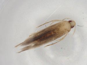  ( - BIOUG78979-C05)  @11 [ ] CreativeCommons - Attribution (2022) Centre for Biodiversity Genomics Centre for Biodiversity Genomics