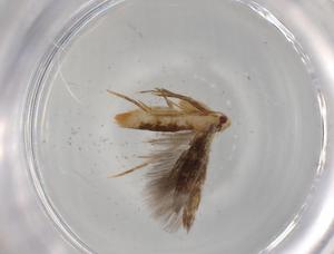  ( - BIOUG78992-H05)  @11 [ ] CreativeCommons - Attribution (2022) Centre for Biodiversity Genomics Centre for Biodiversity Genomics