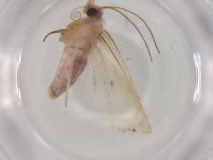  ( - BIOUG79649-B04)  @11 [ ] CreativeCommons - Attribution (2022) Centre for Biodiversity Genomics Centre for Biodiversity Genomics