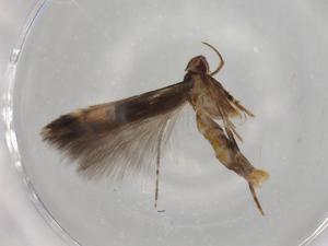  ( - BIOUG79651-F01)  @11 [ ] CreativeCommons - Attribution (2022) Centre for Biodiversity Genomics Centre for Biodiversity Genomics