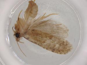  ( - BIOUG79654-A01)  @11 [ ] CreativeCommons - Attribution (2022) Centre for Biodiversity Genomics Centre for Biodiversity Genomics