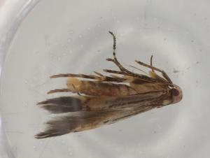  ( - BIOUG79696-A06)  @11 [ ] CreativeCommons - Attribution (2022) Centre for Biodiversity Genomics Centre for Biodiversity Genomics