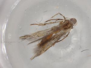  ( - BIOUG79716-B05)  @11 [ ] CreativeCommons - Attribution (2022) Centre for Biodiversity Genomics Centre for Biodiversity Genomics