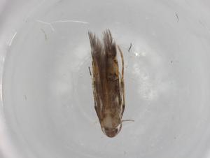  ( - BIOUG81272-G01)  @11 [ ] CreativeCommons - Attribution (2022) Centre for Biodiversity Genomics Centre for Biodiversity Genomics