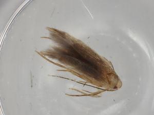  ( - BIOUG81370-H01)  @11 [ ] CreativeCommons - Attribution (2022) Centre for Biodiversity Genomics Centre for Biodiversity Genomics