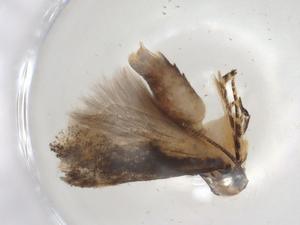  ( - CBG-A03593-E04)  @11 [ ] CreativeCommons - Attribution (2023) Centre for Biodiversity Genomics Centre for Biodiversity Genomics