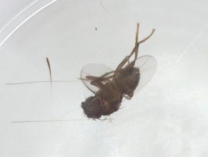  ( - CBG-A06022-B01)  @11 [ ] CreativeCommons - Attribution (2023) Centre for Biodiversity Genomics Centre for Biodiversity Genomics