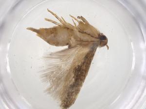  ( - CBG-A06872-E01)  @11 [ ] CreativeCommons - Attribution (2023) Centre for Biodiversity Genomics Centre for Biodiversity Genomics