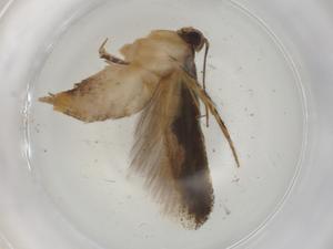  ( - CBG-A06873-A09)  @11 [ ] CreativeCommons - Attribution (2023) Centre for Biodiversity Genomics Centre for Biodiversity Genomics